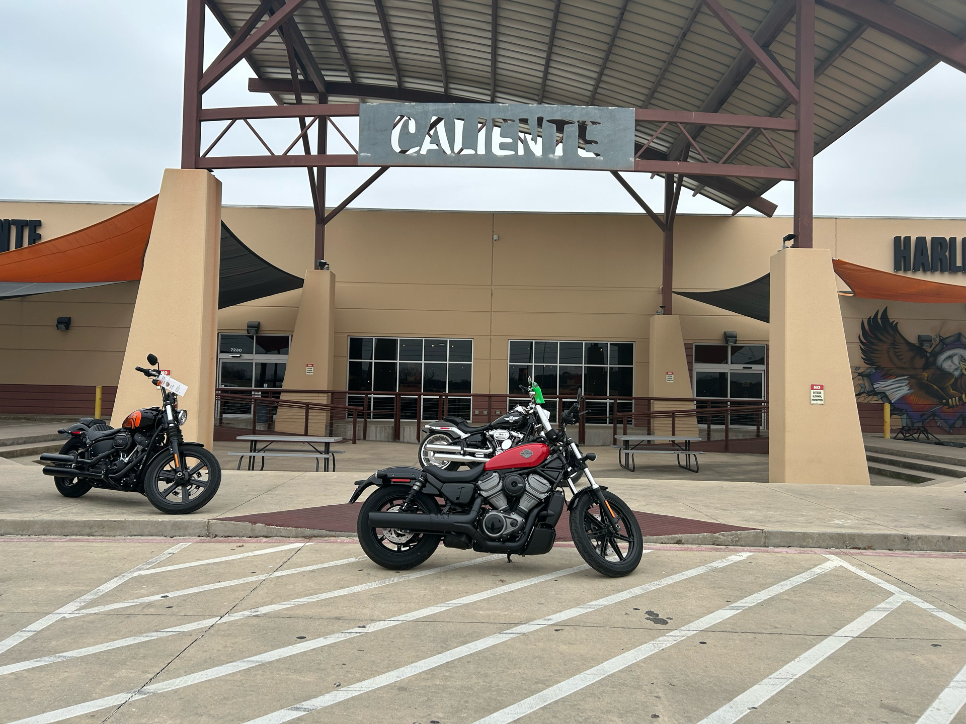 2023 Harley-Davidson Nightster® in San Antonio, Texas - Photo 1