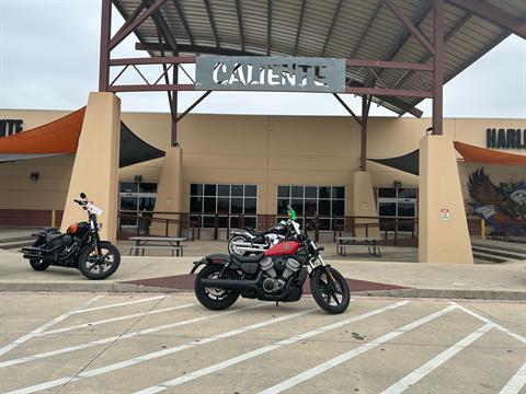 2023 Harley-Davidson Nightster® in San Antonio, Texas - Photo 1