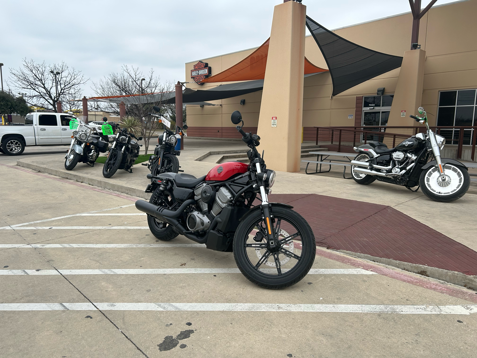 2023 Harley-Davidson Nightster® in San Antonio, Texas - Photo 2