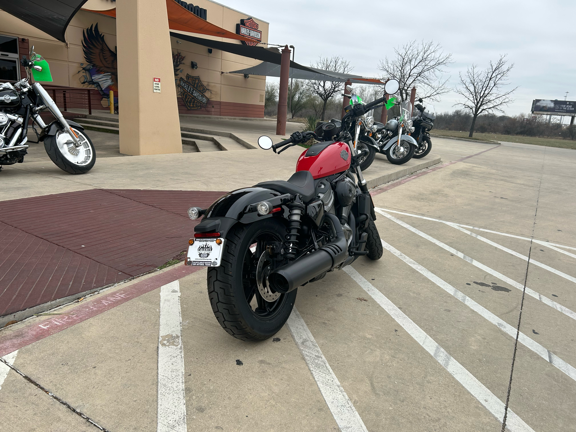 2023 Harley-Davidson Nightster® in San Antonio, Texas - Photo 8