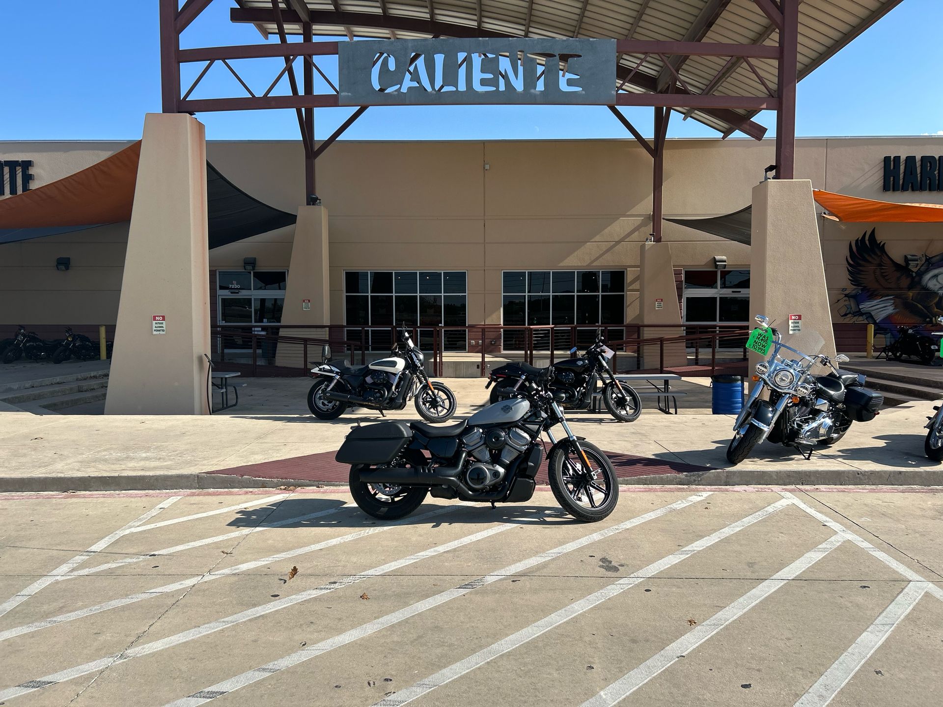 2024 Harley-Davidson Nightster® in San Antonio, Texas - Photo 1