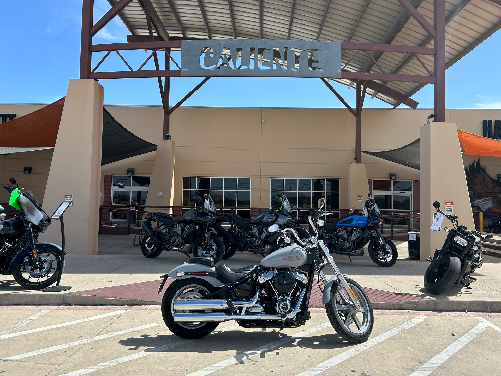 2024 Harley-Davidson Softail® Standard in San Antonio, Texas - Photo 1