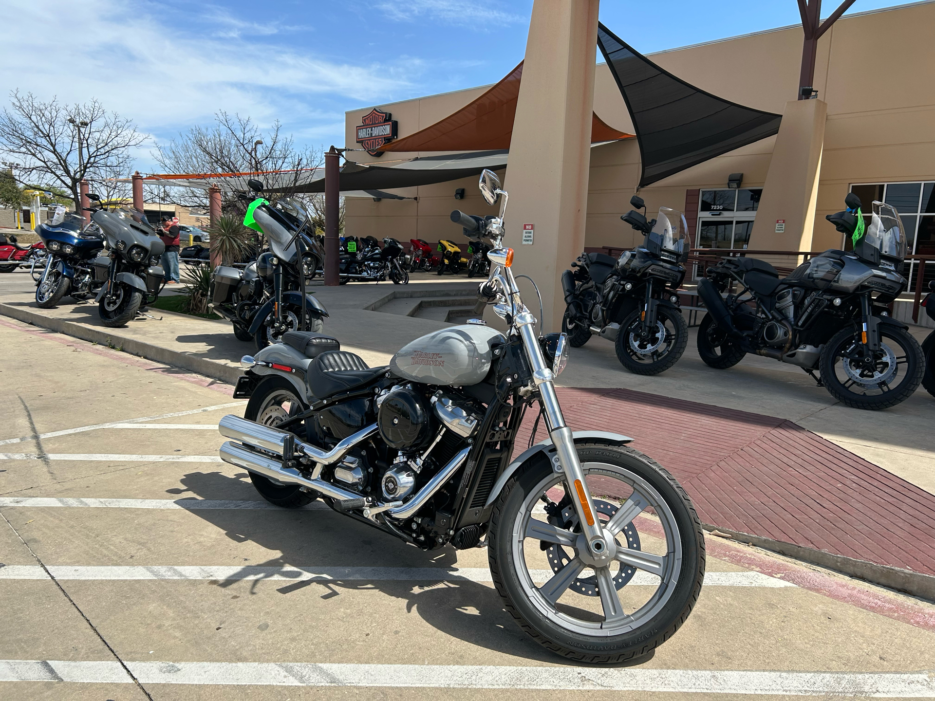 2024 Harley-Davidson Softail® Standard in San Antonio, Texas - Photo 2