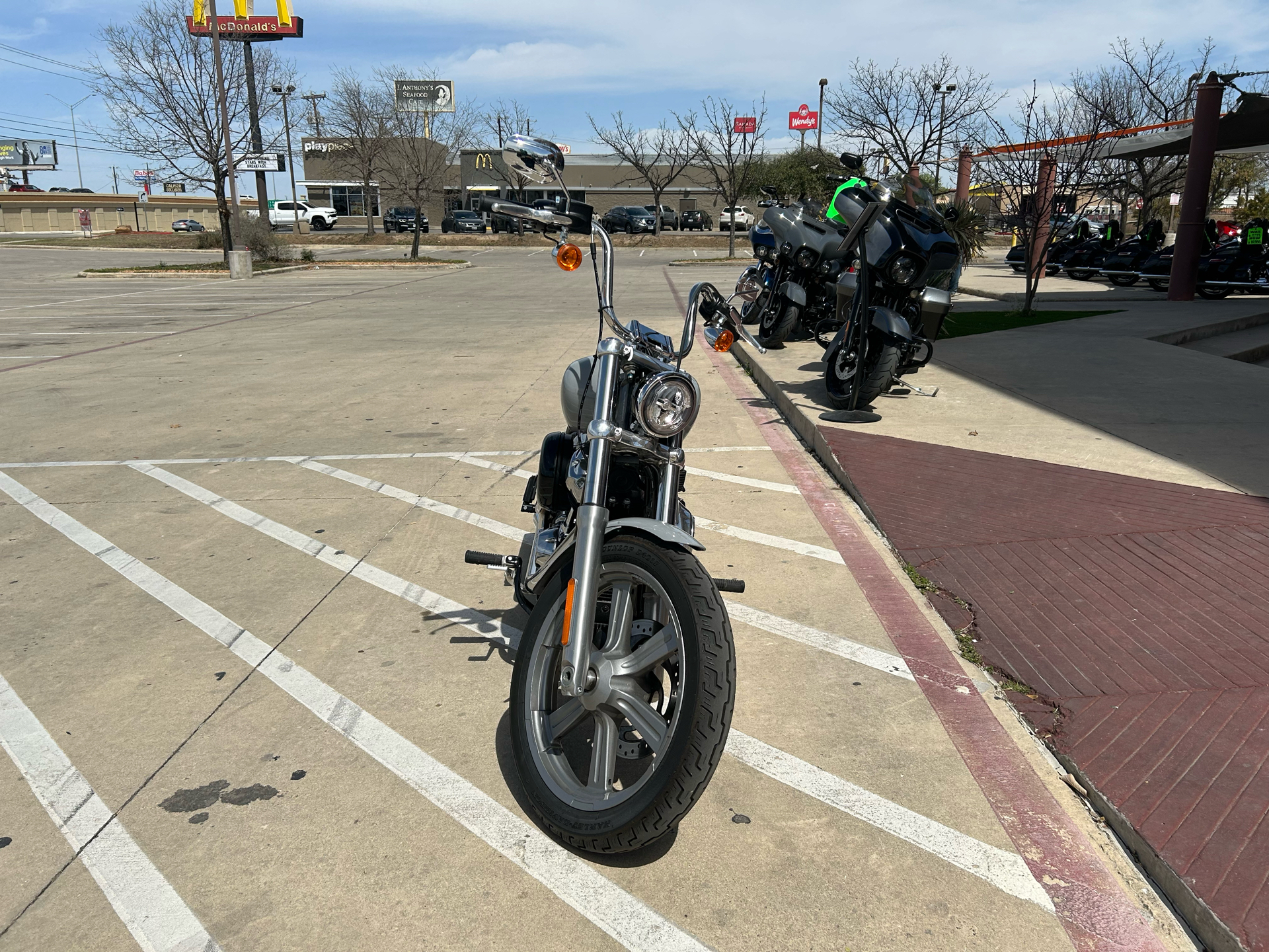 2024 Harley-Davidson Softail® Standard in San Antonio, Texas - Photo 3