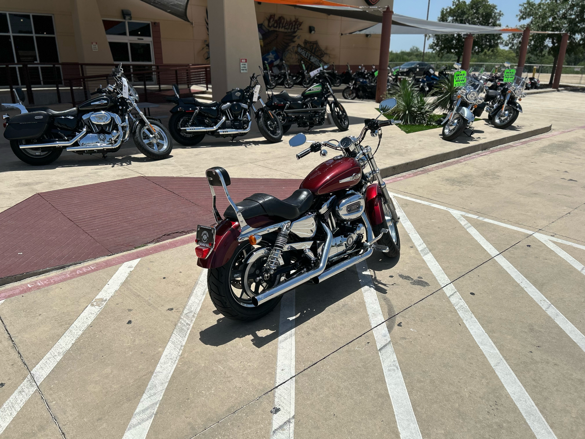 2016 Harley-Davidson 1200 Custom in San Antonio, Texas - Photo 8