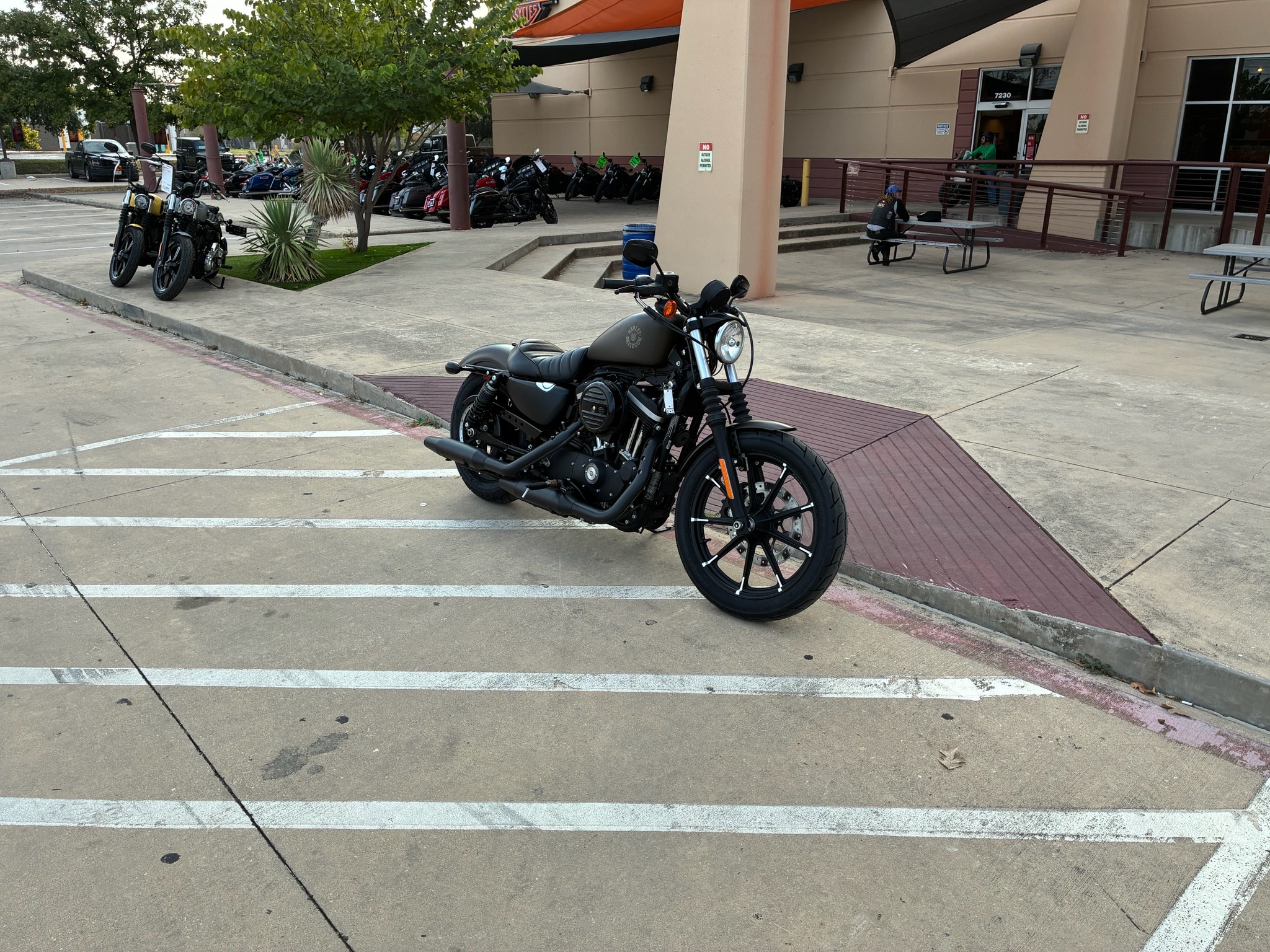2021 Harley-Davidson Iron 883 2