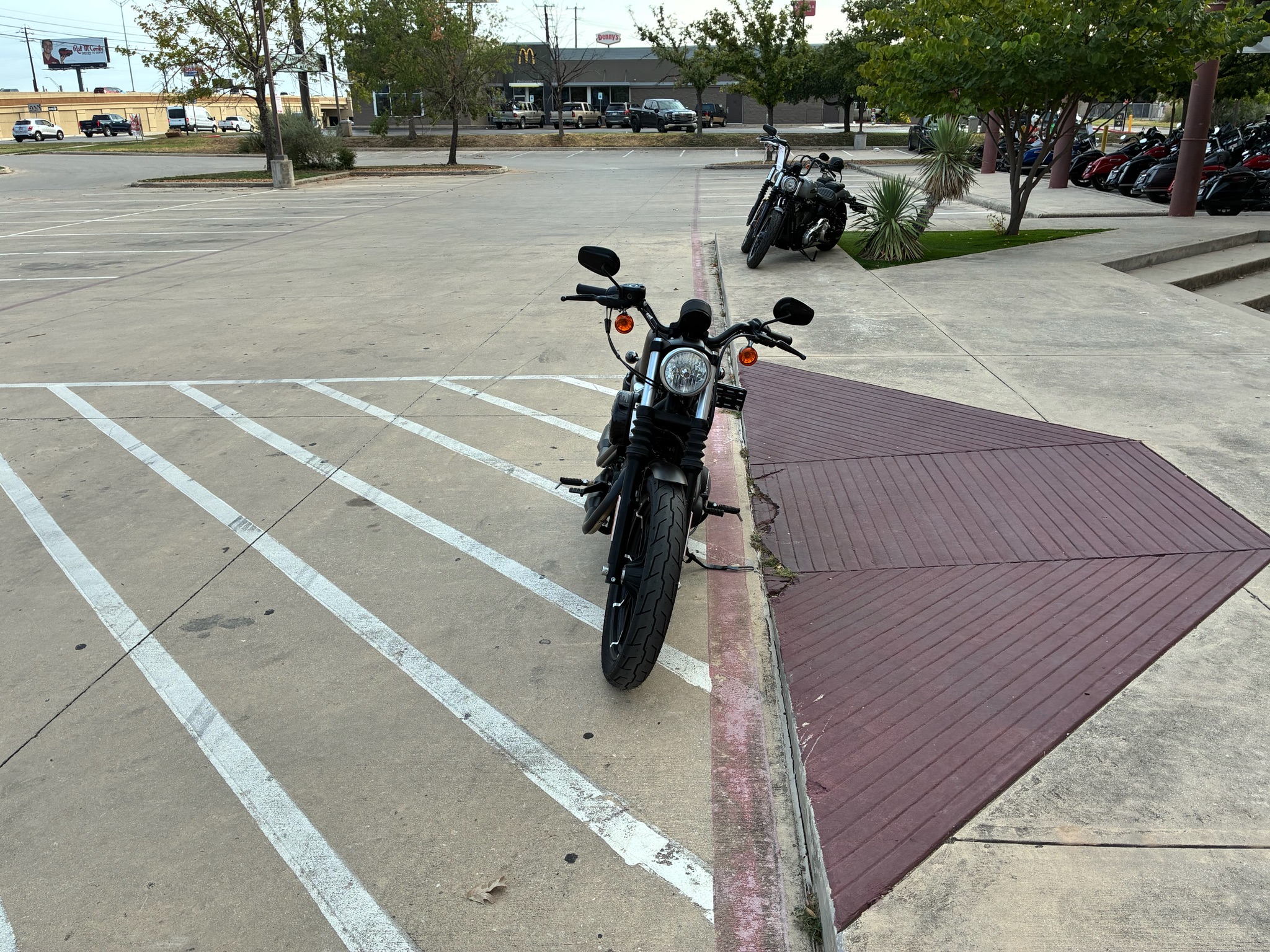 2021 Harley-Davidson Iron 883 3