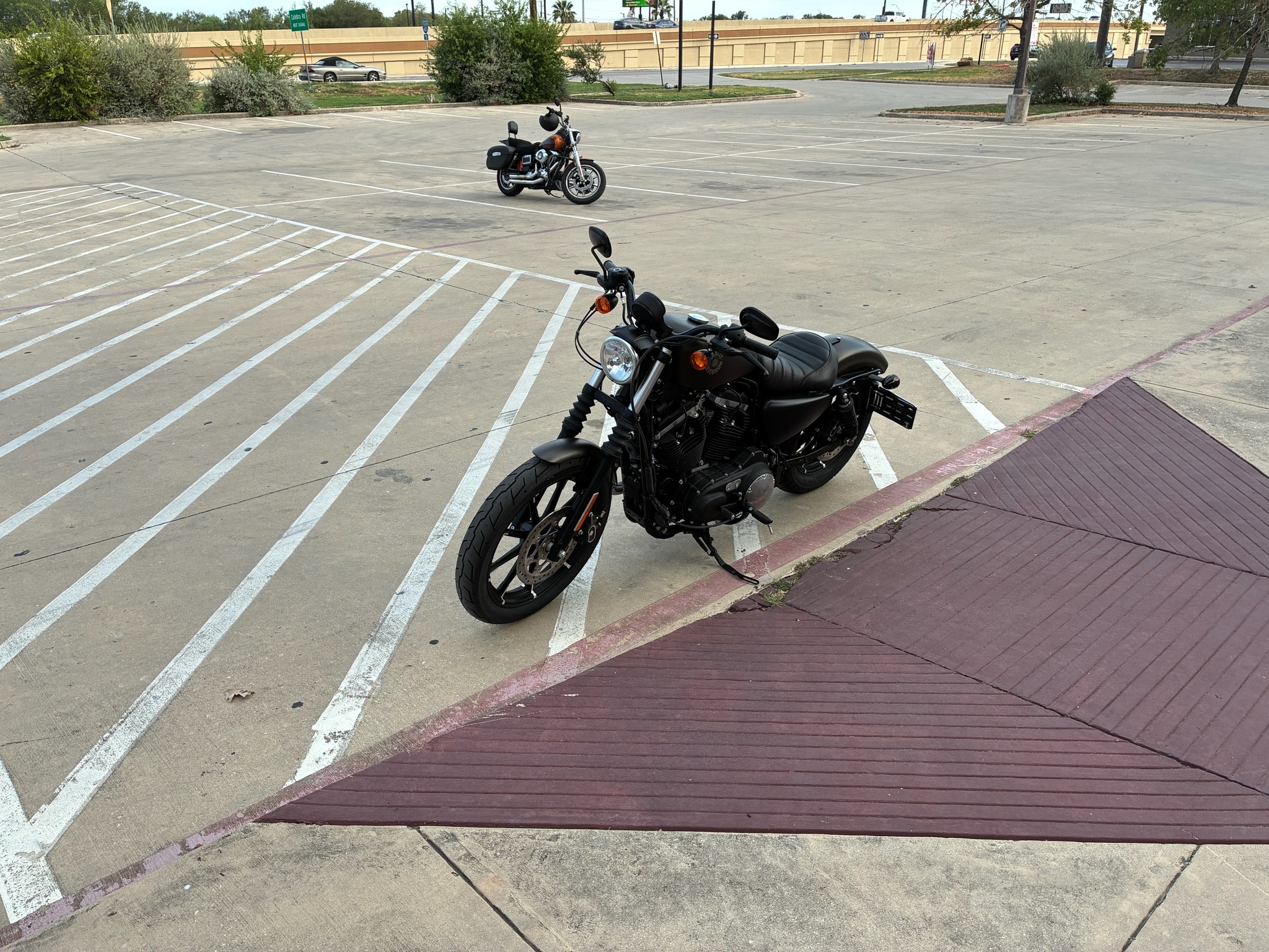2021 Harley-Davidson Iron 883 4