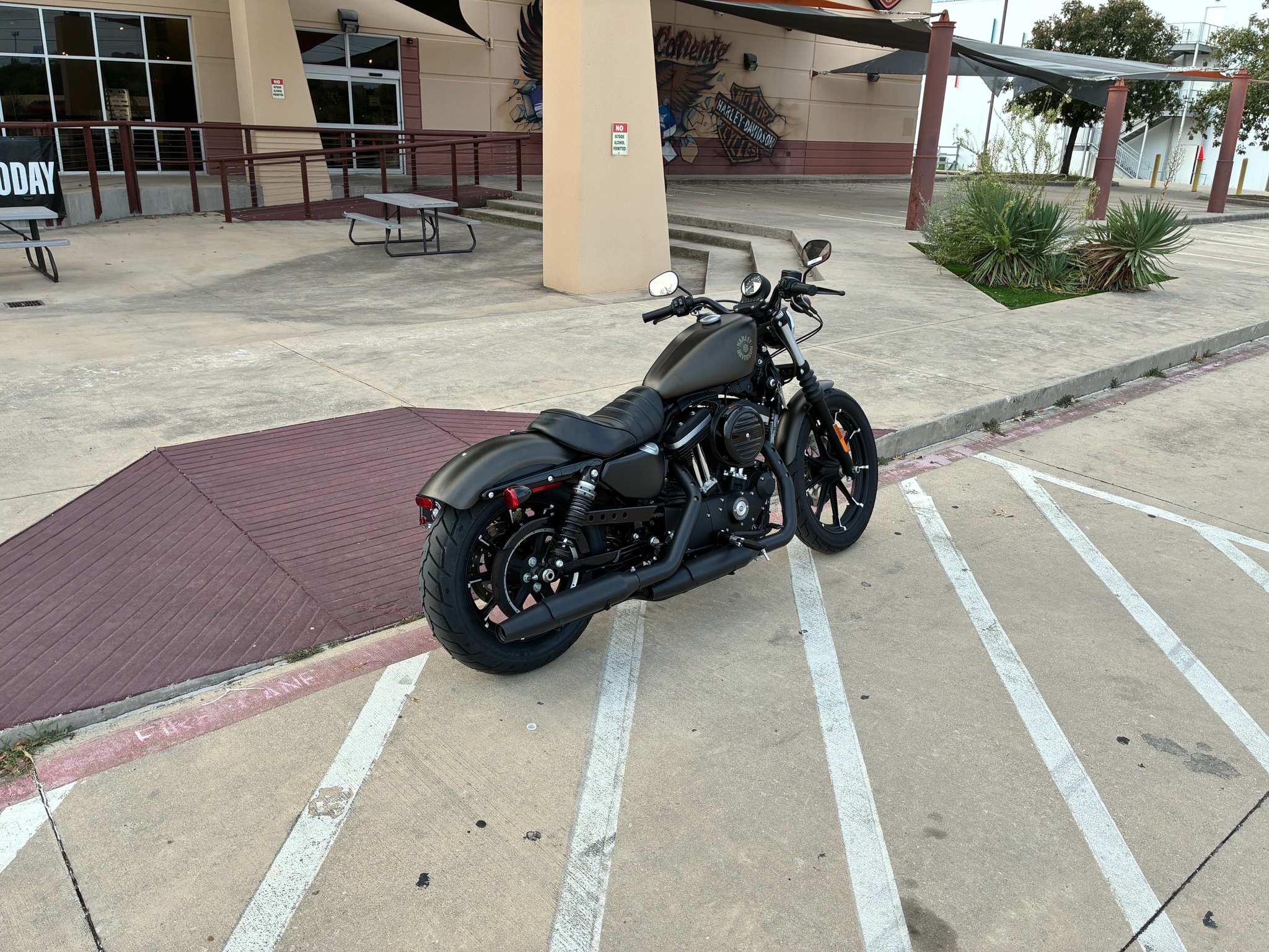 2021 Harley-Davidson Iron 883 8