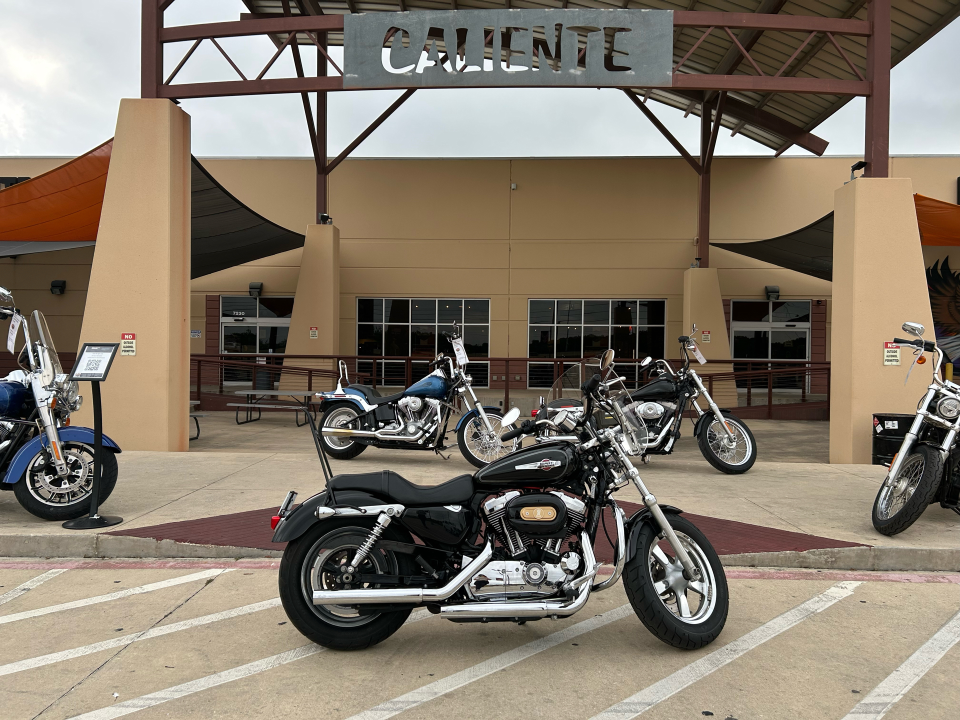 2012 Harley-Davidson Sportster® 1200 Custom in San Antonio, Texas - Photo 1