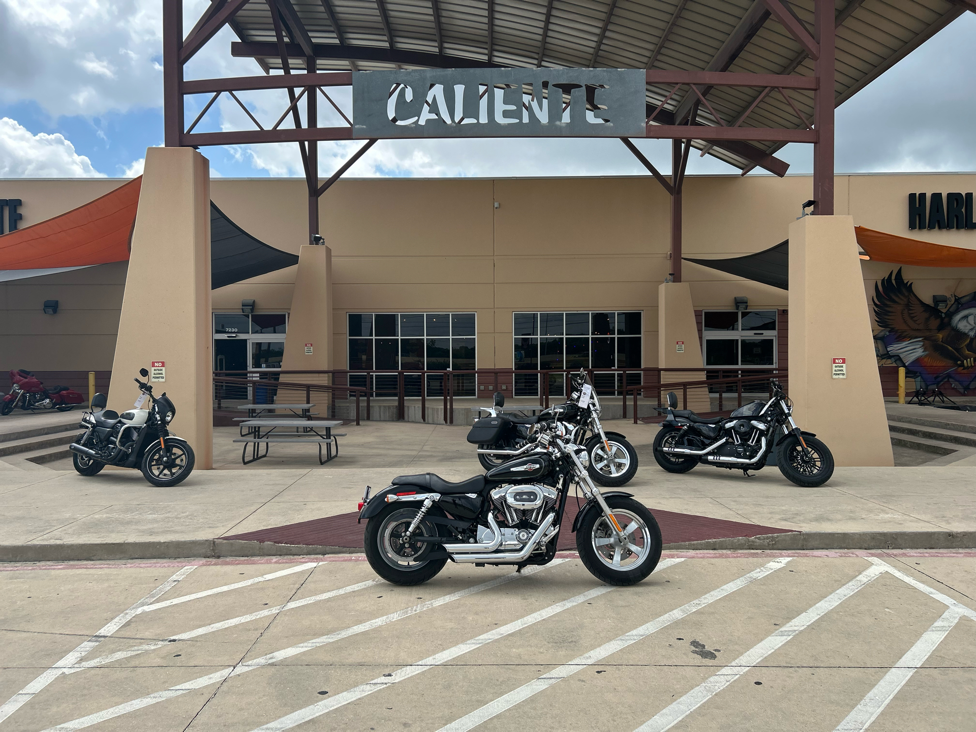 2012 Harley-Davidson Sportster® 1200 Custom in San Antonio, Texas - Photo 1
