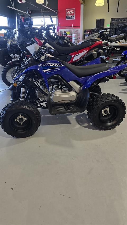 2026 Yamaha Raptor 110