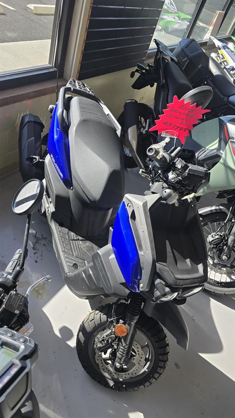 2023 Yamaha Zuma 125