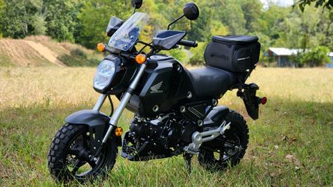 2023 Honda Grom in Marietta, Ohio - Photo 1