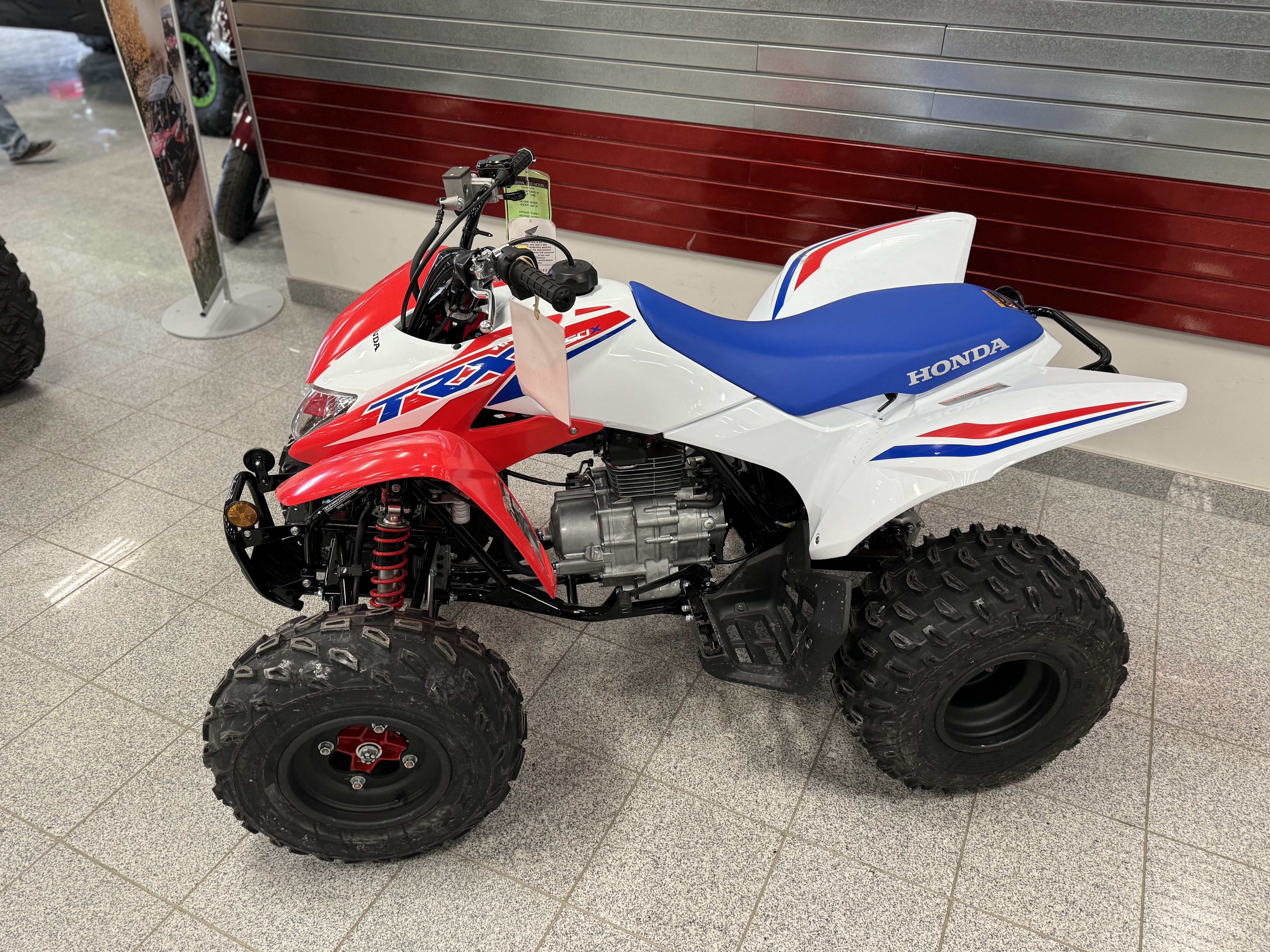 2026 Honda TRX250X in Marietta, Ohio - Photo 2
