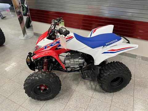 2026 Honda TRX250X in Marietta, Ohio - Photo 2