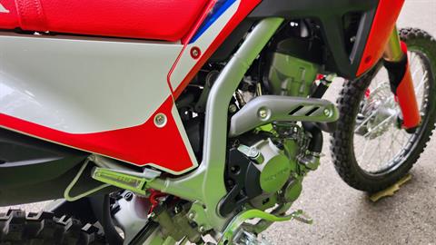 2024 Honda CRF300L in Marietta, Ohio - Photo 5