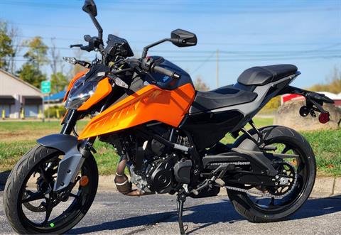 2024 KTM 250 Duke in Marietta, Ohio - Photo 1