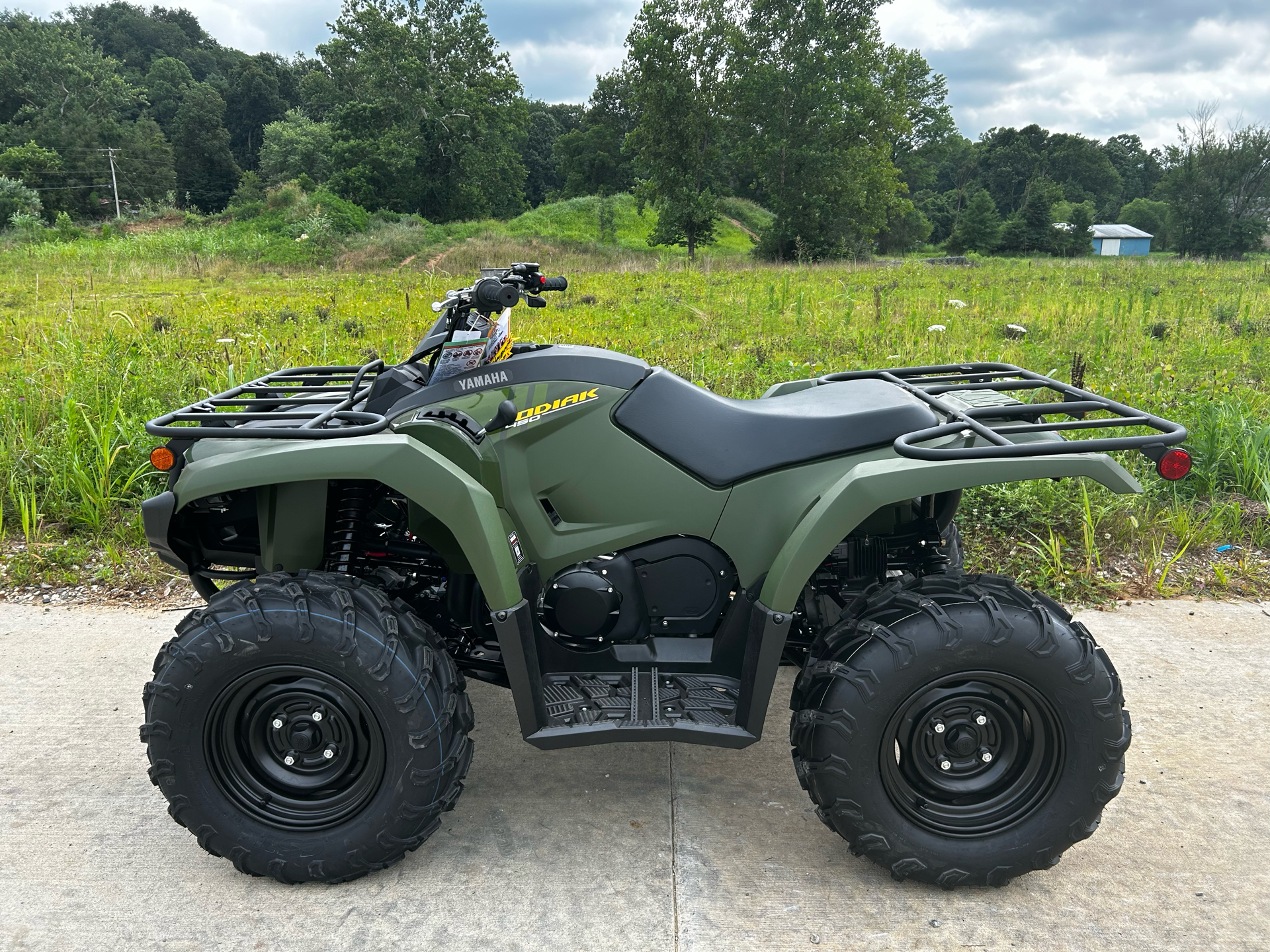 2025 Yamaha Kodiak 450 in Marietta, Ohio - Photo 1