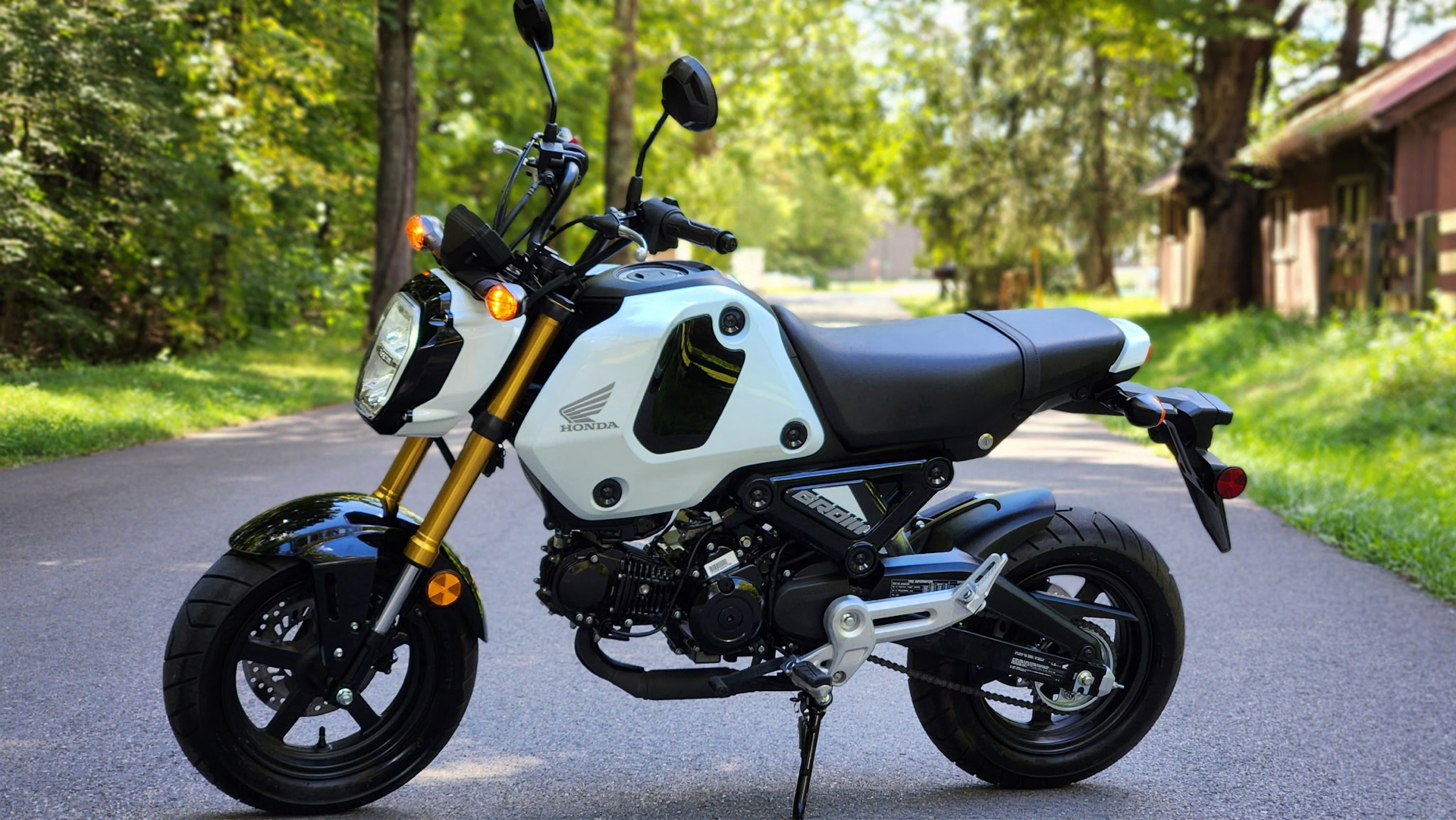2024 Honda Grom in Marietta, Ohio - Photo 1