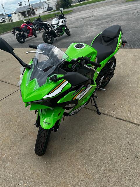 2025 Kawasaki Ninja 500 KRT Edition in Marietta, Ohio - Photo 2
