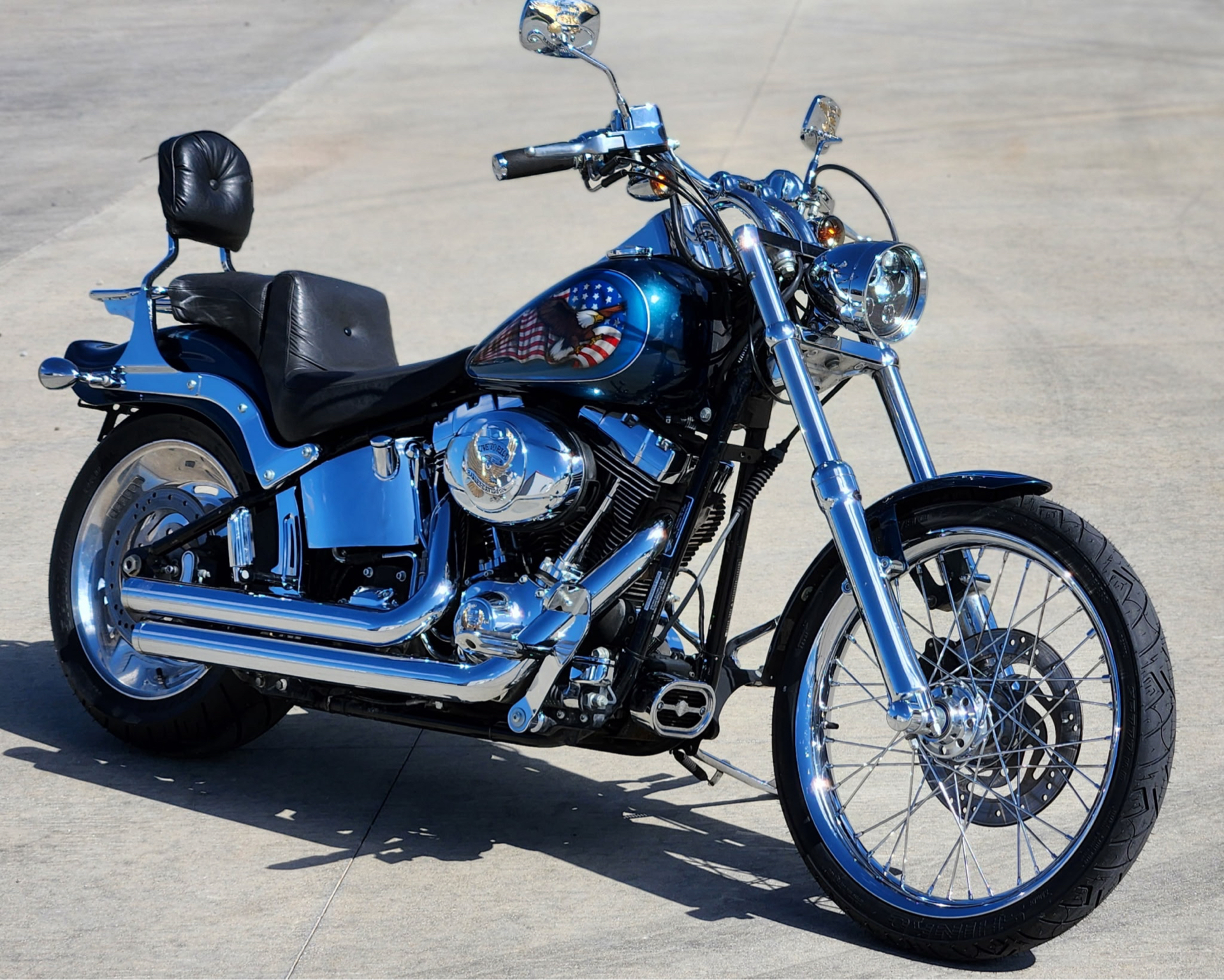 2009 Harley-Davidson Softail® Custom in Marietta, Ohio - Photo 1