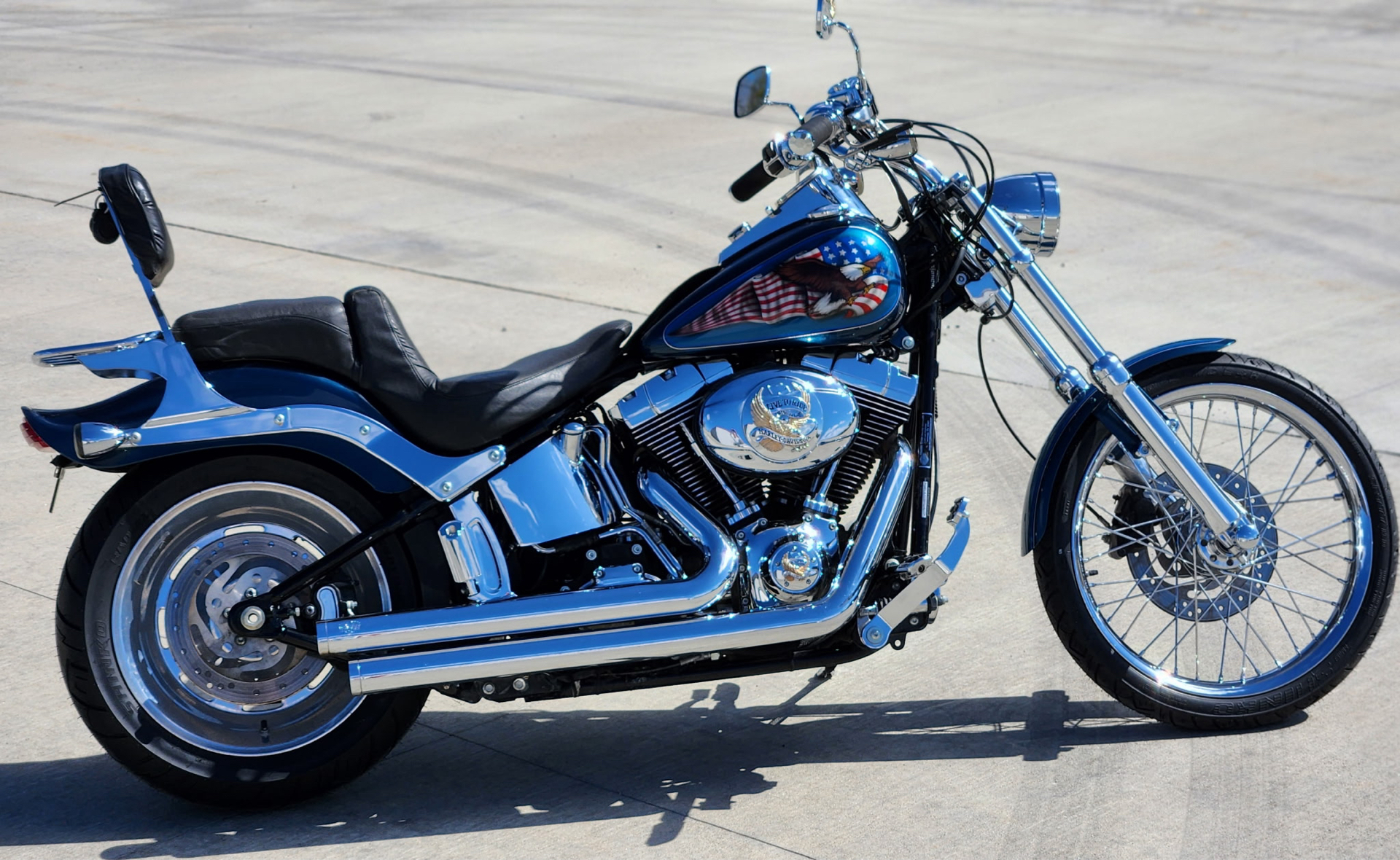 2009 Harley-Davidson Softail® Custom in Marietta, Ohio - Photo 2