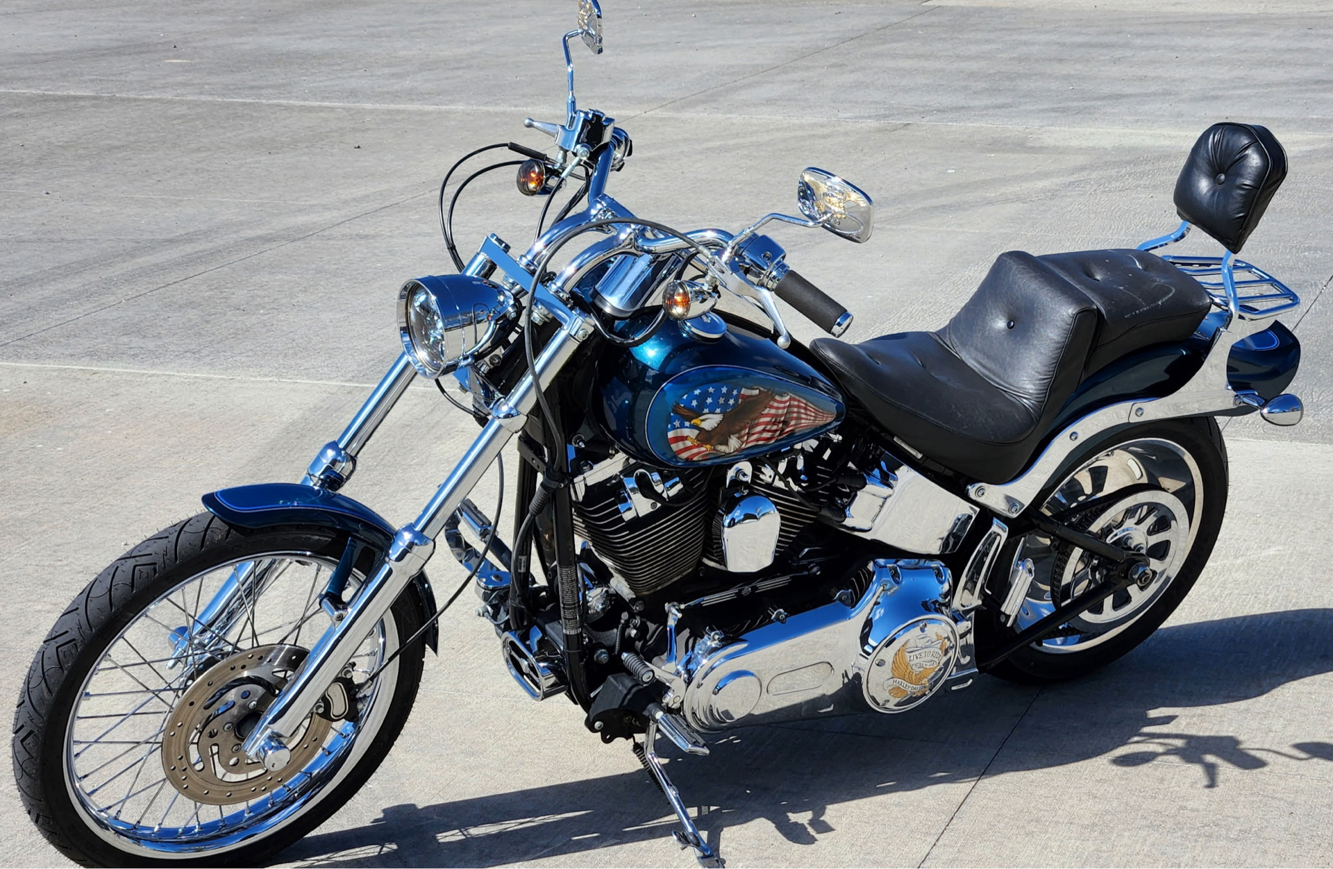 2009 Harley-Davidson Softail® Custom in Marietta, Ohio - Photo 3