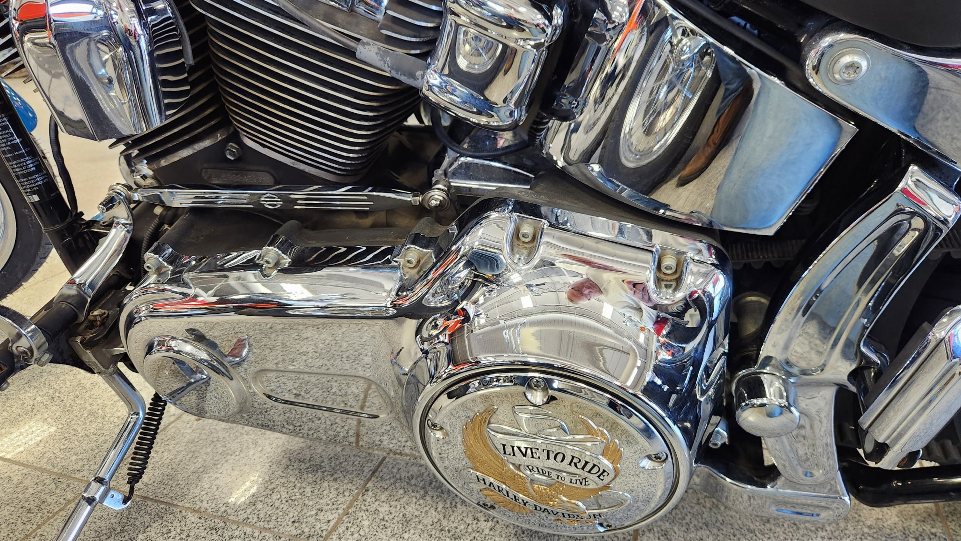 2009 Harley-Davidson Softail® Custom in Marietta, Ohio - Photo 6