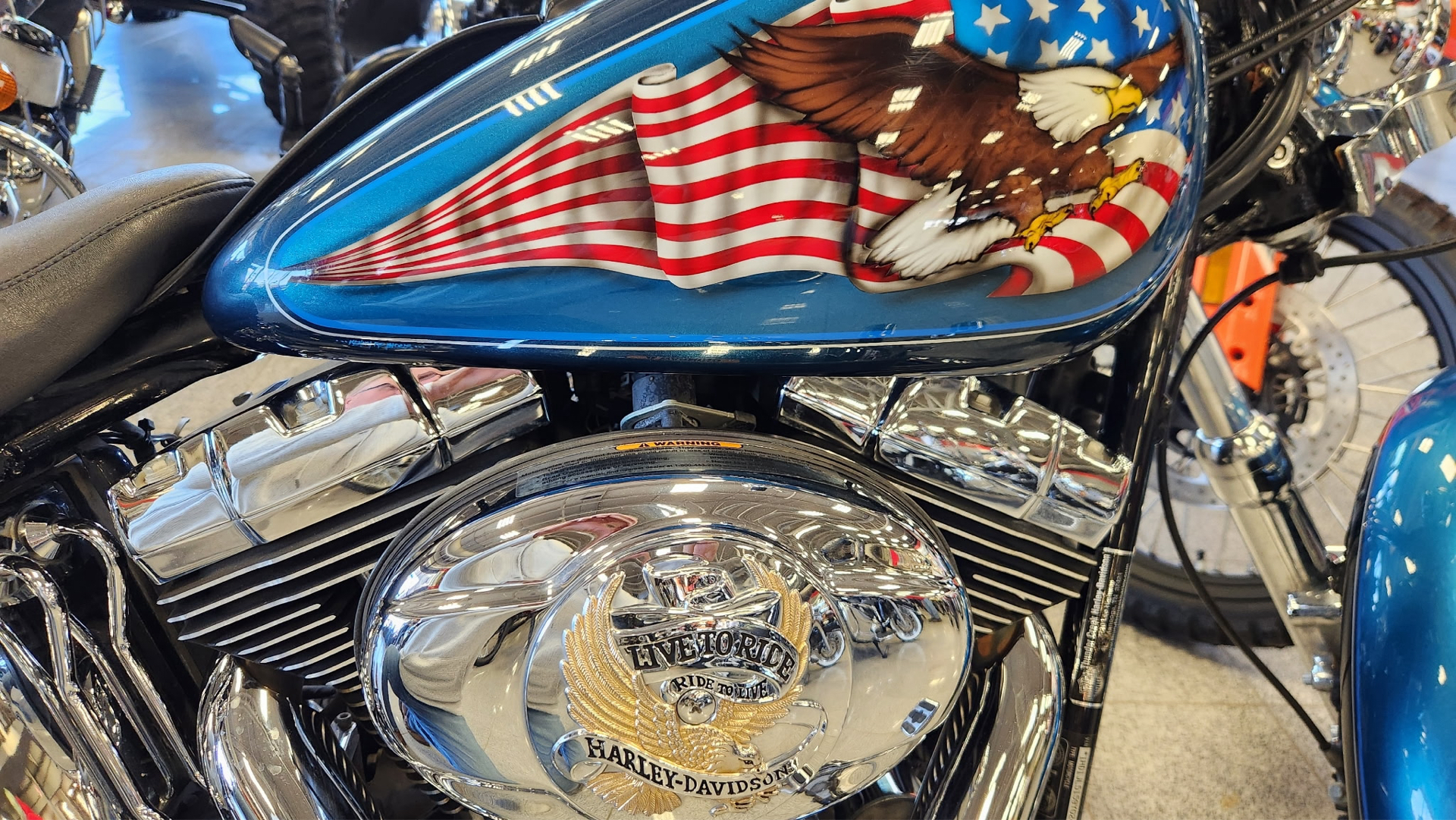 2009 Harley-Davidson Softail® Custom in Marietta, Ohio - Photo 7