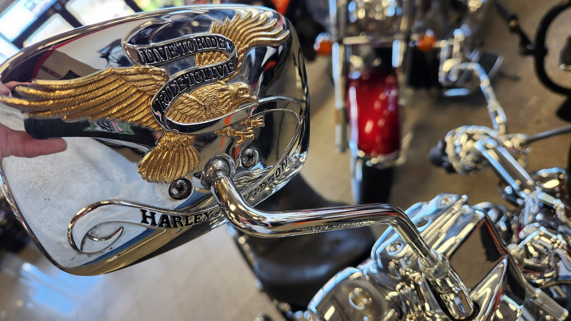 2009 Harley-Davidson Softail® Custom in Marietta, Ohio - Photo 8