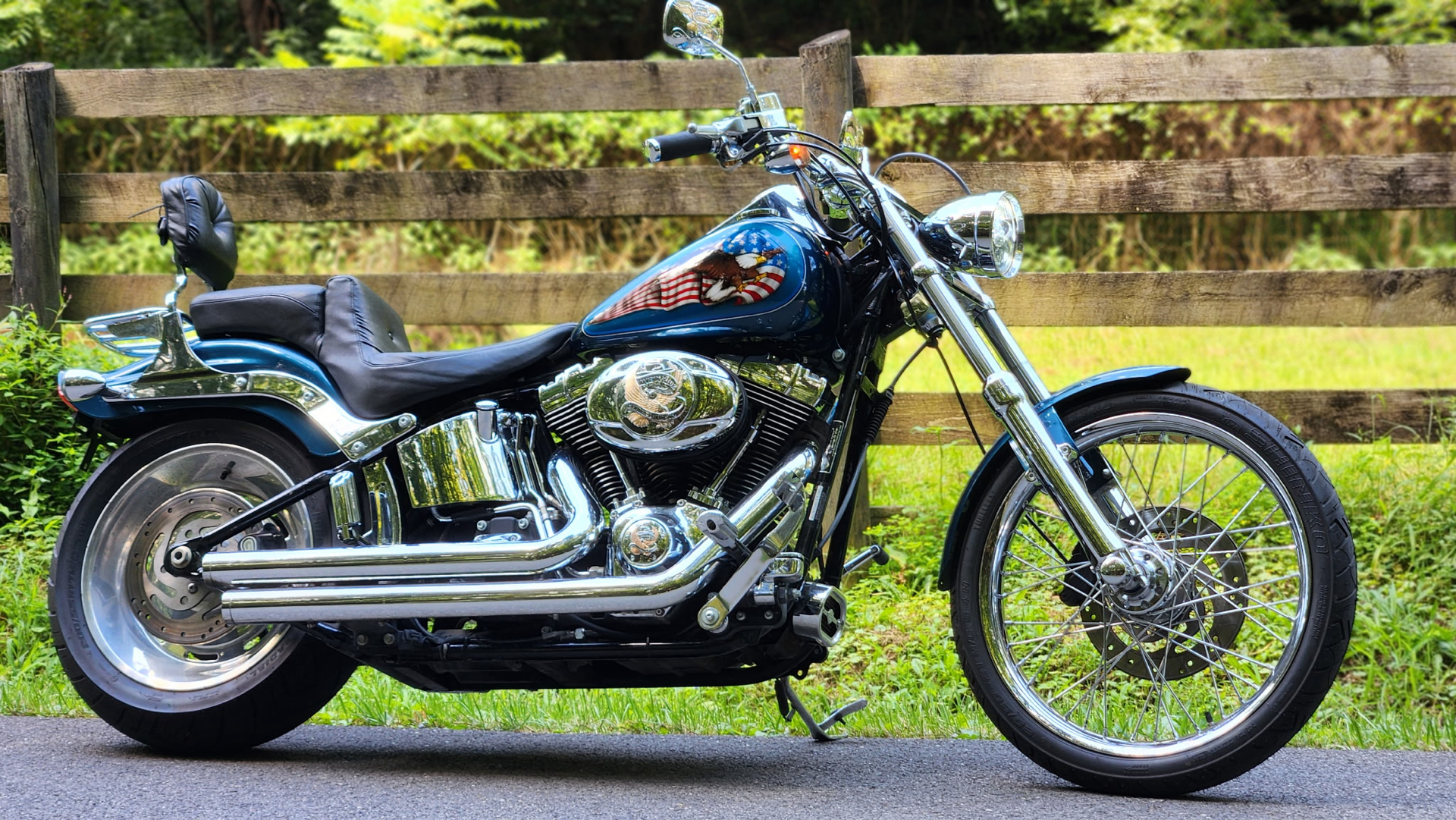 2009 Harley-Davidson Softail® Custom in Marietta, Ohio - Photo 1