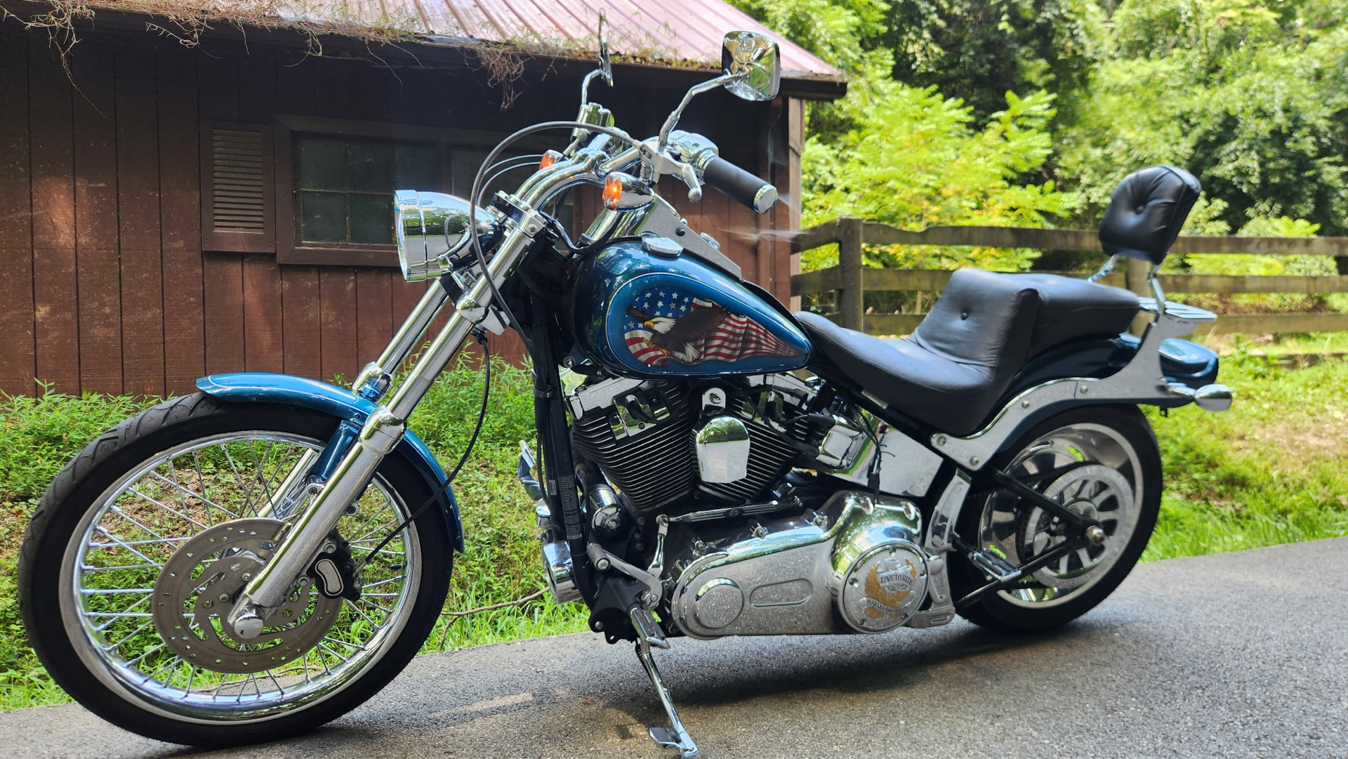 2009 Harley-Davidson Softail® Custom in Marietta, Ohio - Photo 4