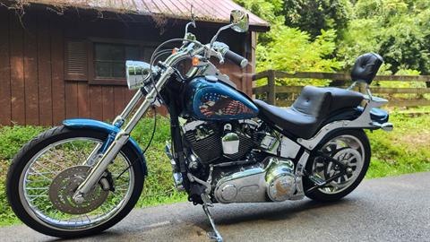 2009 Harley-Davidson Softail® Custom in Marietta, Ohio - Photo 4