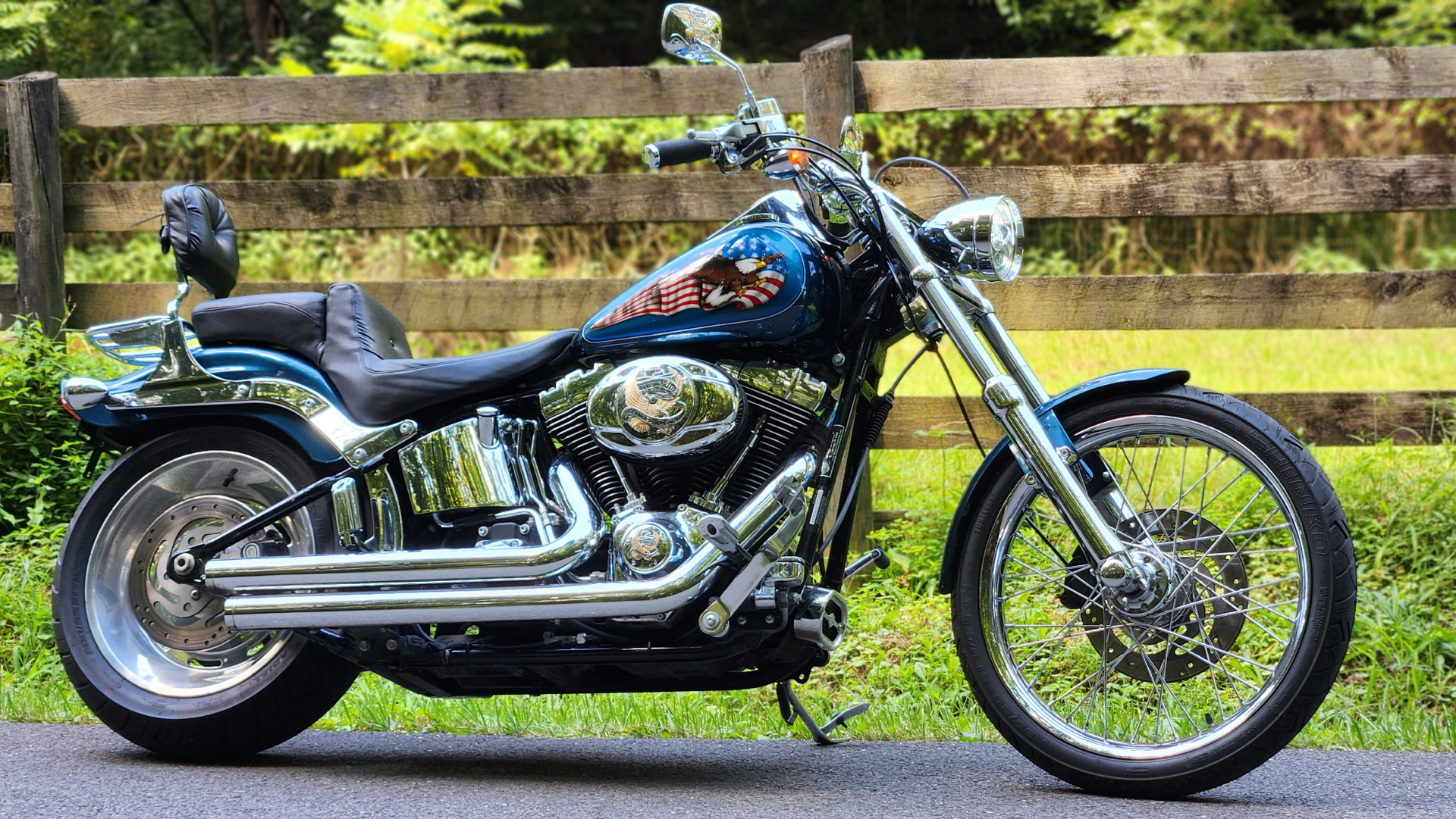 2009 Harley-Davidson Softail® Custom in Marietta, Ohio - Photo 8
