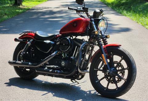 2019 Harley-Davidson Iron 883™ in Marietta, Ohio - Photo 1