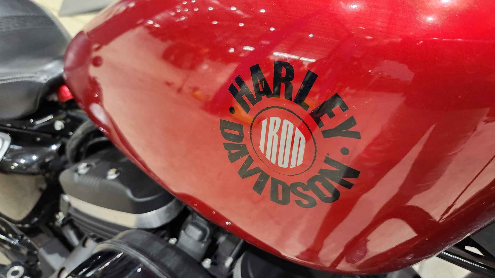 2019 Harley-Davidson Iron 883™ in Marietta, Ohio - Photo 3
