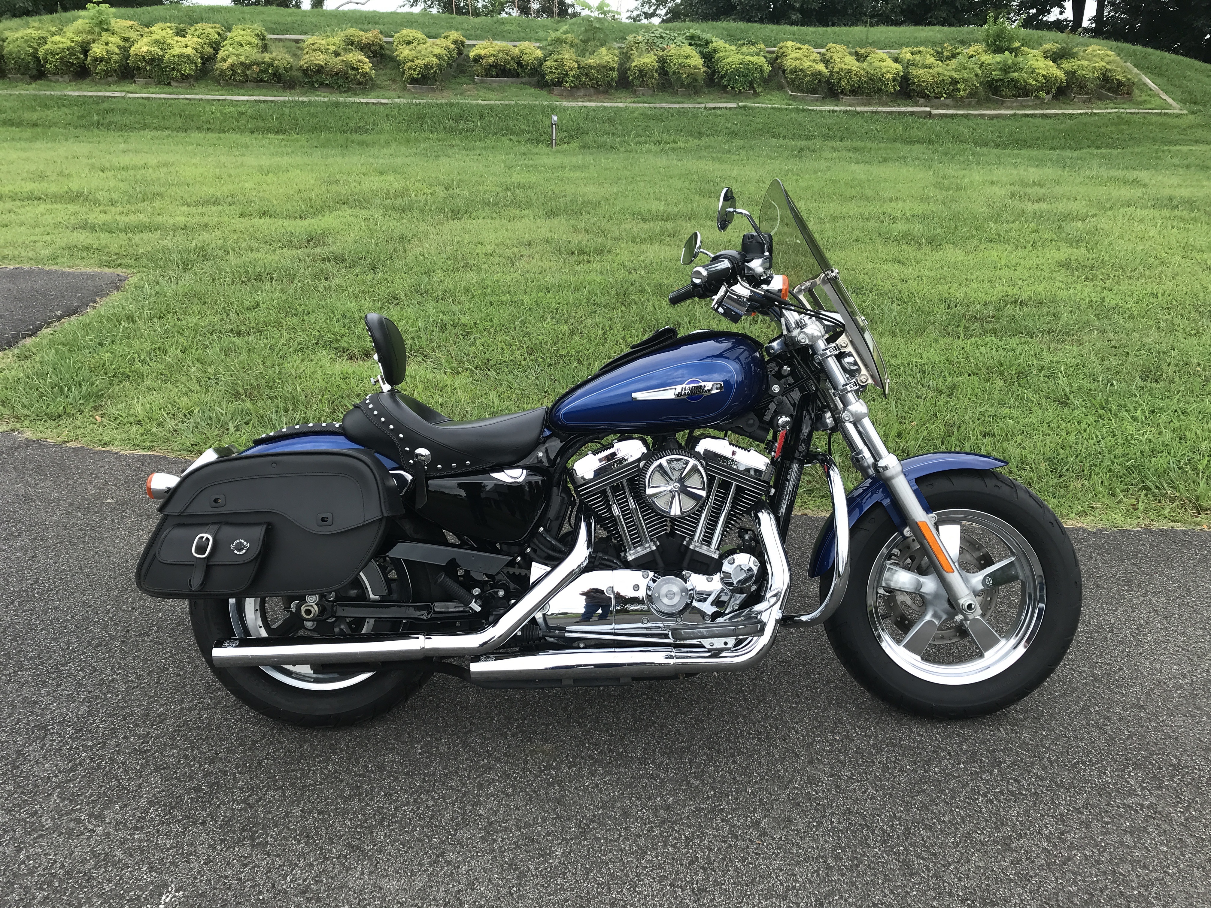 2016 SPORSTER 1200 CUSTOM