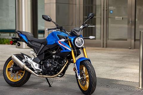 New In-Stock Hammerhead Inventory | Oklahoma Honda-Suzuki located