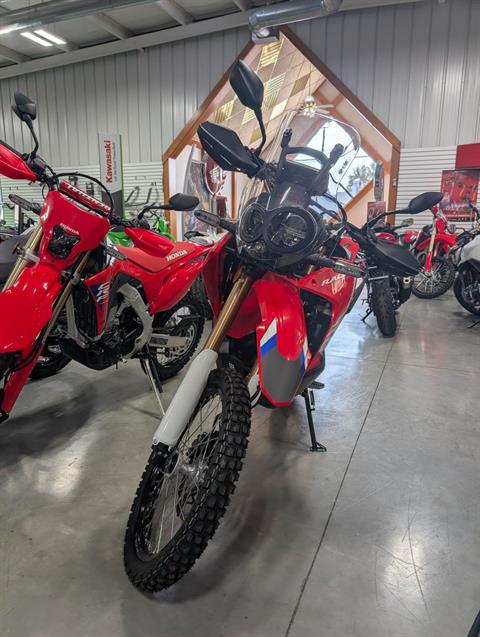 2025 Honda CRF300L Rally ABS — photo 1 of 17