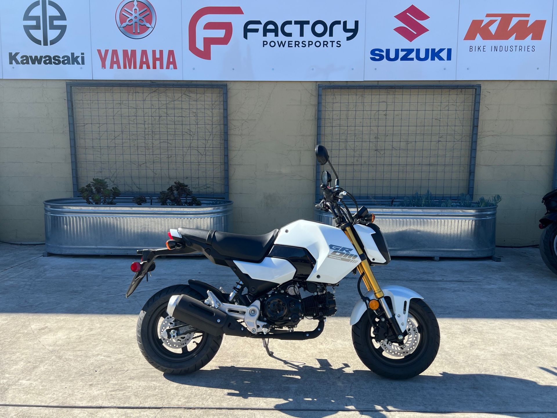 Pneumatici GRP GWH02-XM3 1:5 TC Con Ruota Bianca - 2 Pezzi Spedizione Gratuita USA