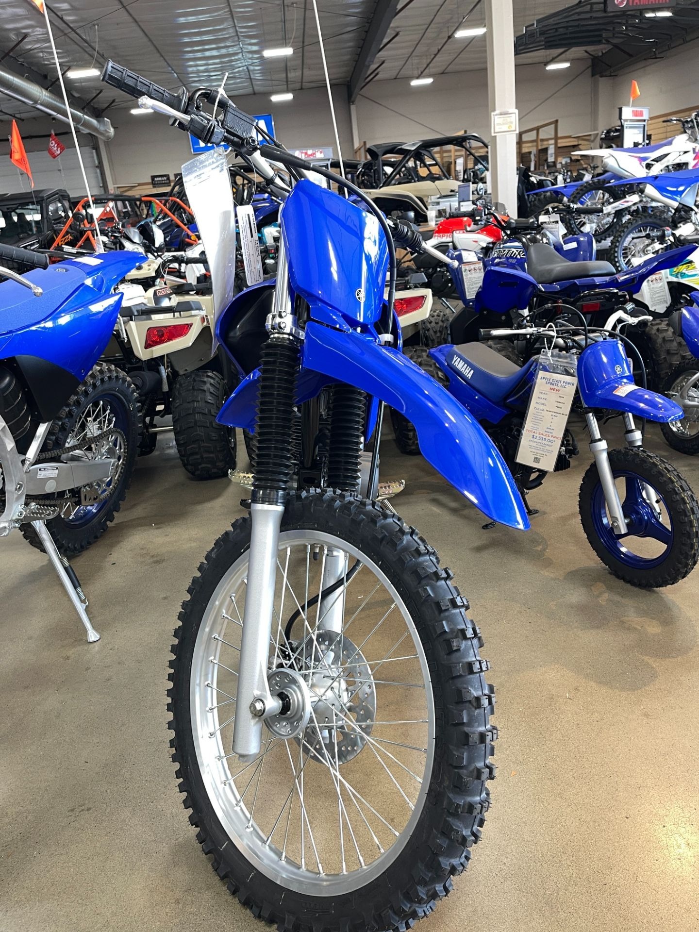 2027 Yamaha TT-R230 3