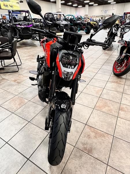 ブエナビスタ　タテガミ　2025 3760725-3031_d-T-star-