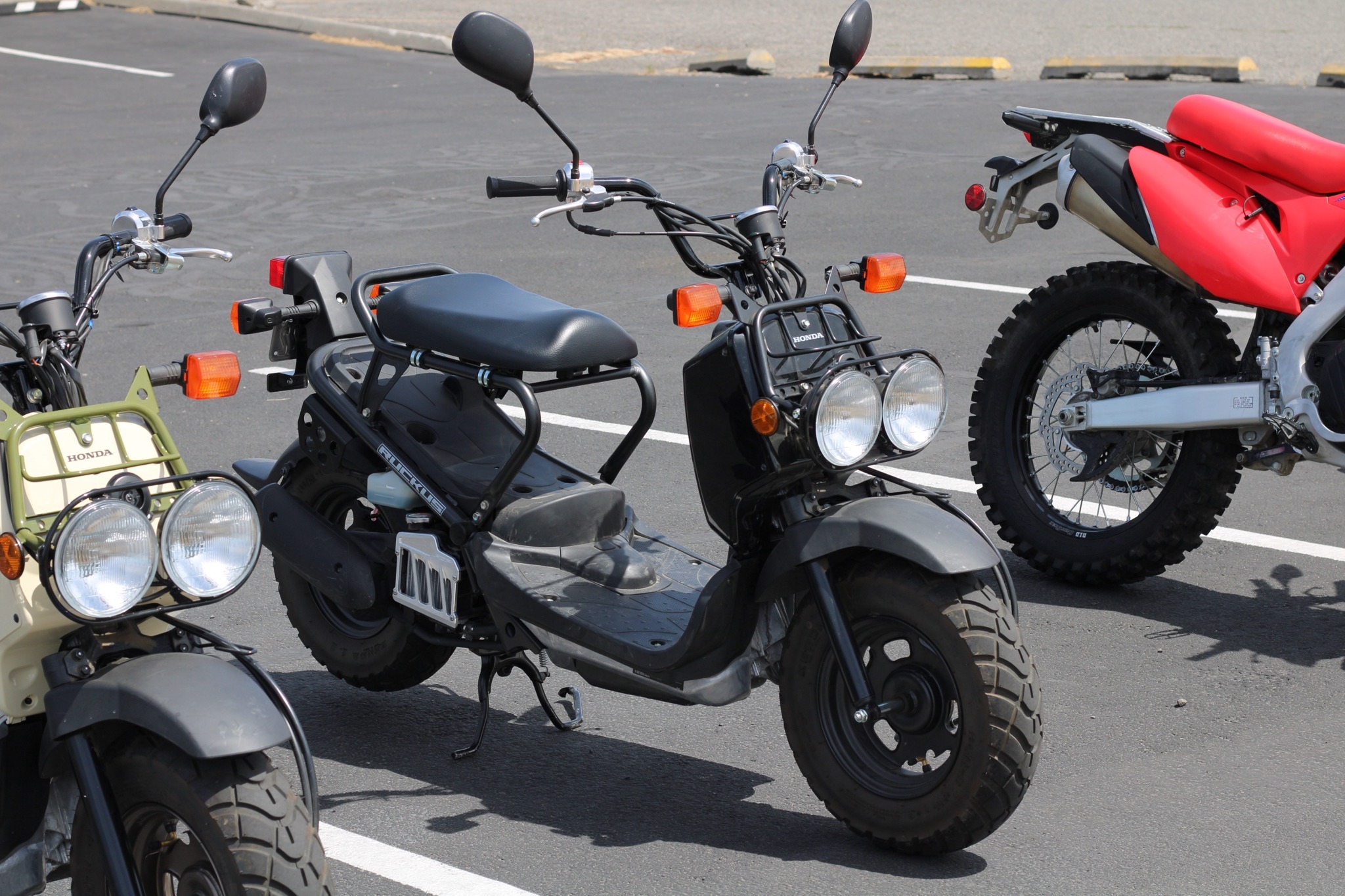 2024 Ruckus