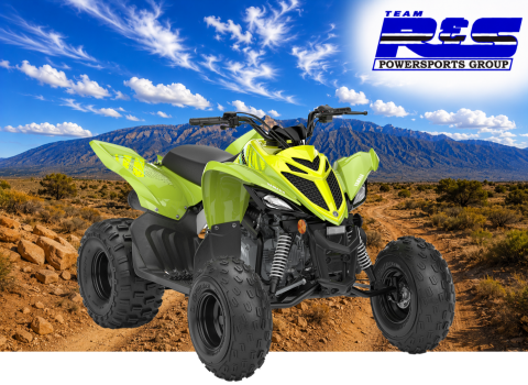 2026 Yamaha Raptor 110