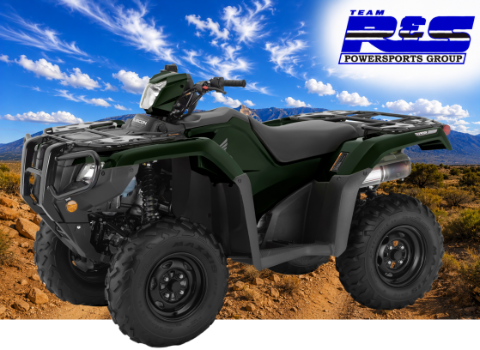 2025 Honda FourTrax Foreman Rubicon 4x4 EPS