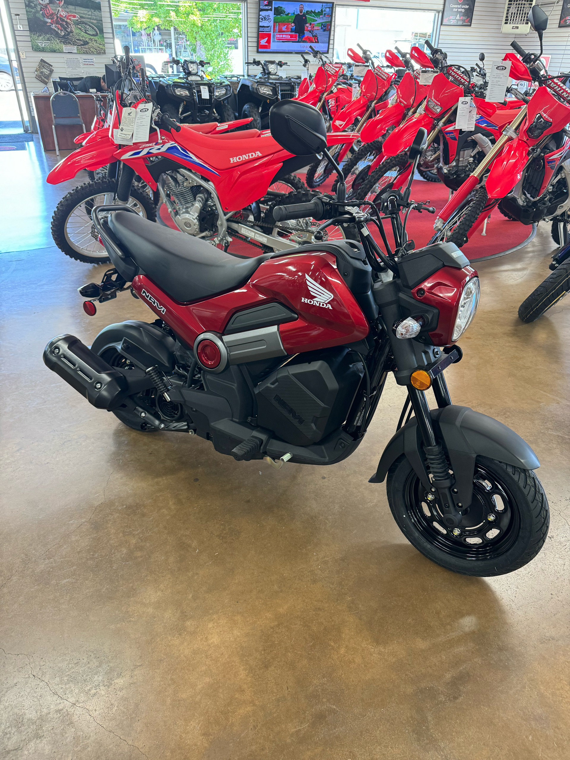 New 2024 Honda Navi Motorcycles in Redding, CA | Stock Number: N24206