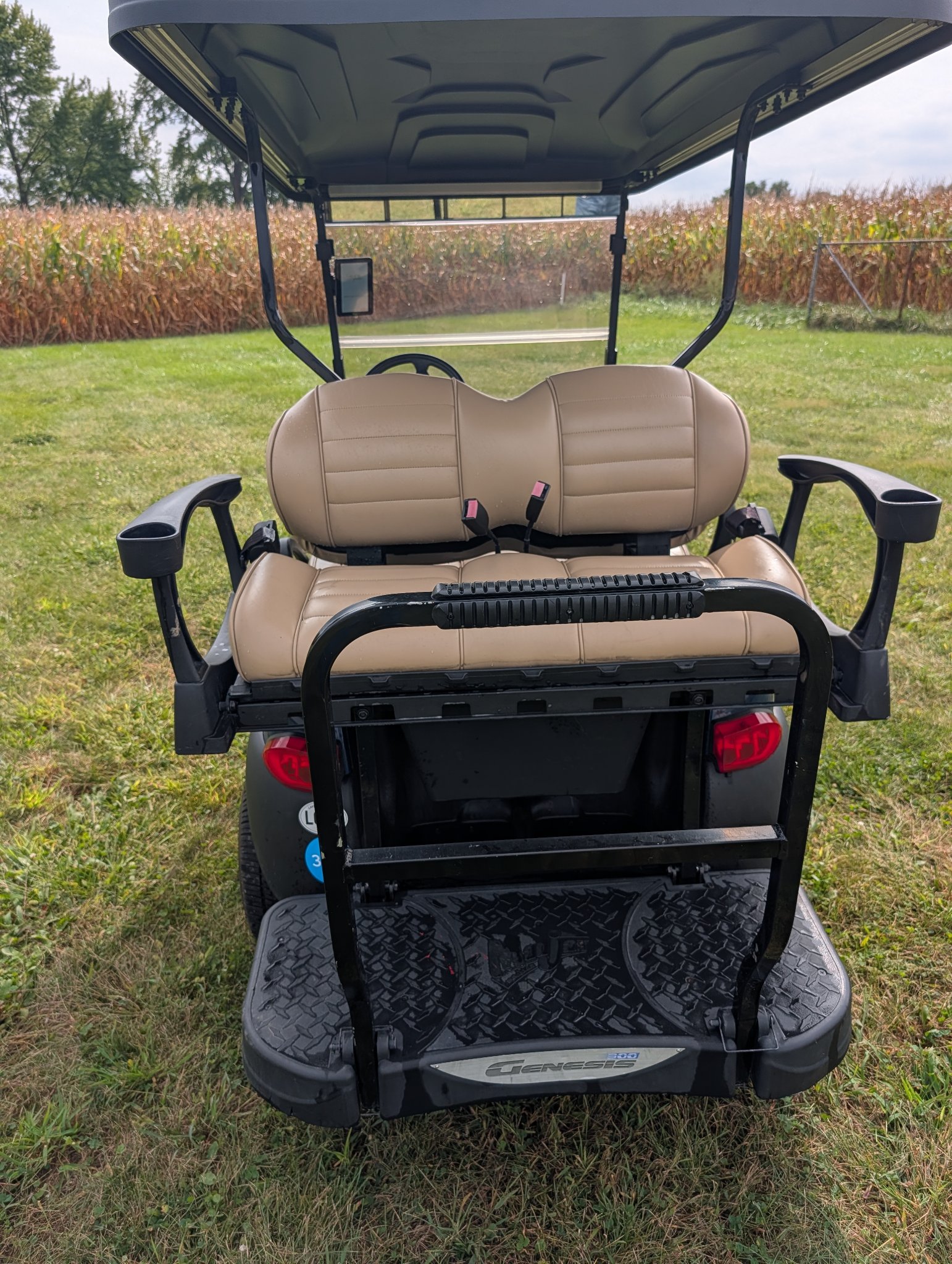 2010 Club Car Precedent photo 3