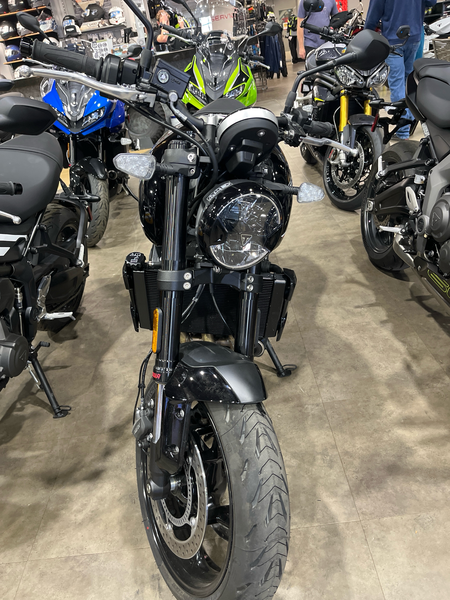 New 2025 Triumph Trident 660, Fort Collins CO | Specs, Price