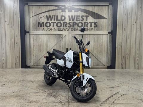 New 2026 Honda Grom, Greeley CO Specs, Price, Photos Pearl